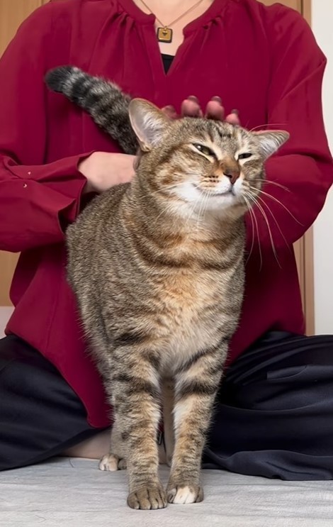 立ち上がったちゃうほど気持ちいいんです（つむぎちゃんの飼い主さん提供、Instagramよりキャプチャ撮影）