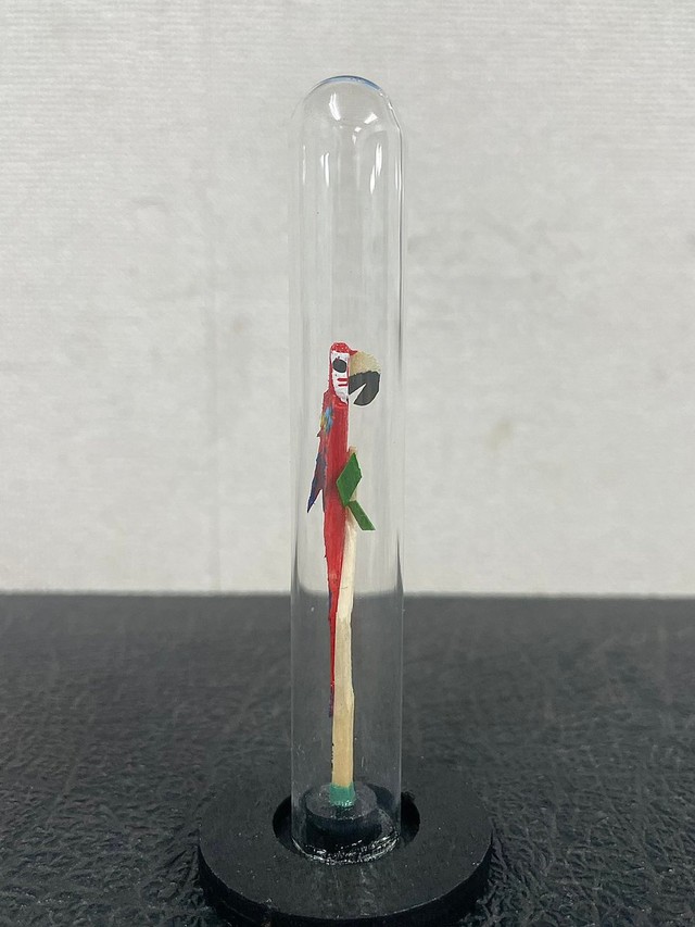 こちらが話題の鳥（んちゅたぐいさん提供） 