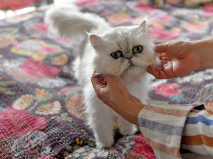 ひとりっこの環境が急に変わったので、「なこちゃんとの時間も大事にしないと」