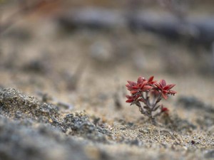 憧れの髪型に、少し落ち込んだ。髪型を変えて気づいた自分らしさ