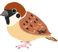 使い方が掴めない方言ランキング4位「ちゅんちゅん」（提供画像）