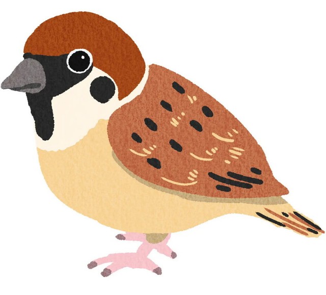 使い方が掴めない方言ランキング4位「ちゅんちゅん」（提供画像）