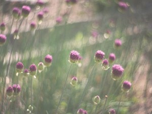 潔癖症の上司にささげた、血のついたチェア。私にコンプレックスの呪いをかけた彼に復讐を