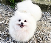 6歳にして行き場を失ったあんなちゃん