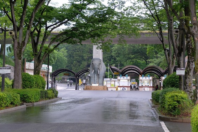 多摩動物公園(c)kawamura_lucy/stock.adobe.com