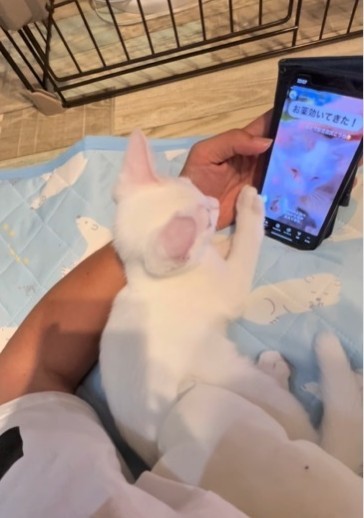 「手がかかるほど、心を開いた瞬間は尊い」という三吉さん(三吉さん提供、Instagramよりキャプチャ撮影)
