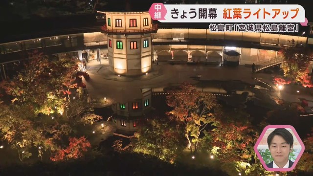 宮城・日本三景松島で様々な紅葉イベント　日本酒とライトアップで紅葉を愛でる