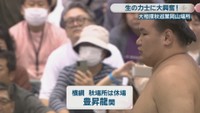 秋場所は休場していた豊昇龍