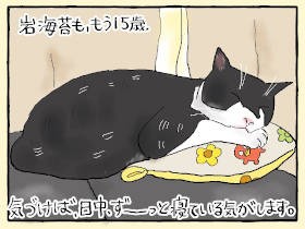 少しずつ子供に戻っていく老猫「岩海苔」　重すぎる愛も、ぜいたくなこととかみしめる