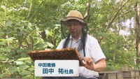 中田養蜂／田中 祐 社長