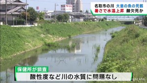 宮城・名取市の川で魚の死骸　暑さで水温上昇　酸欠死か