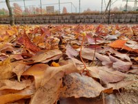 補助陸上競技場の西側