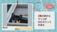 【はぴコレ】9歳の娘と登山・窓からワンコがお迎え　8月13日