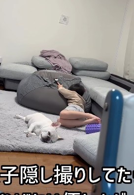 まったりくつろぐ、仲良しきょうだい（提供：＠burufamiさん）
