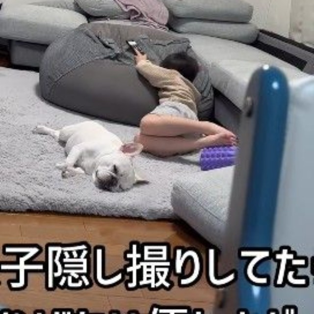 まったりくつろぐ、仲良しきょうだい（提供：＠burufamiさん）
