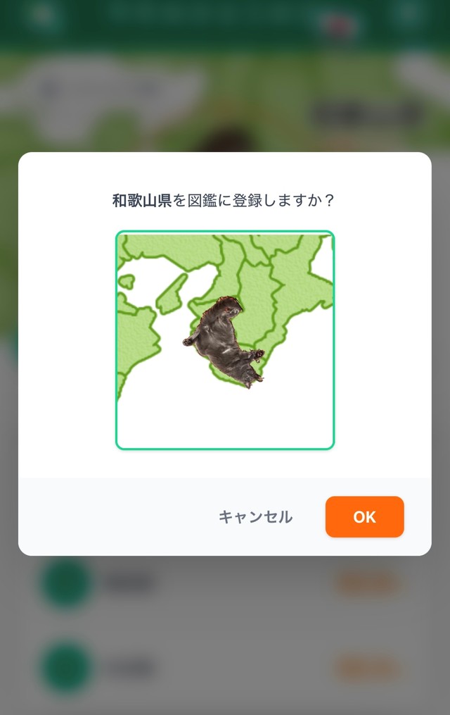 図鑑に登録、マッチング結果を集めることも