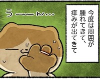 徐々に指に異変が（ゆう｜ノープロブレムキャットさん提供）