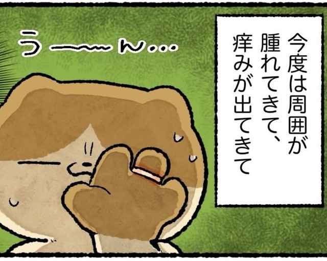 徐々に指に異変が（ゆう｜ノープロブレムキャットさん提供）