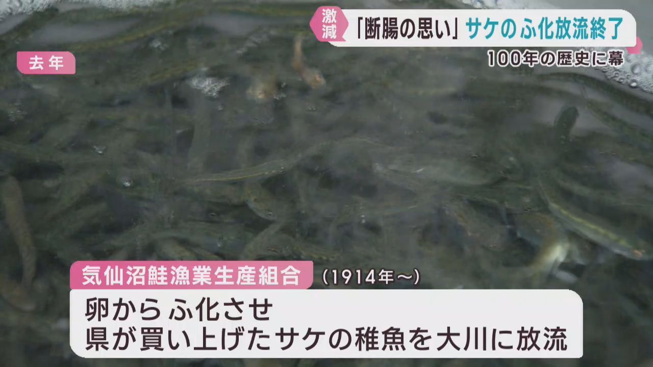 サケのふ化放流事業を終了へ　宮城・気仙沼鮭漁業生産組合