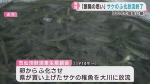 サケのふ化放流事業を終了へ　宮城・気仙沼鮭漁業生産組合