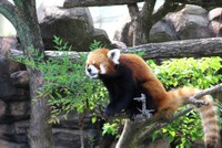 りりしい表情を見せるジャズ。かっこいい！