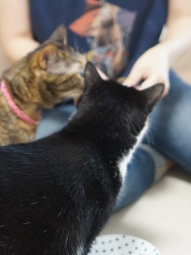 おやつ？私が先！