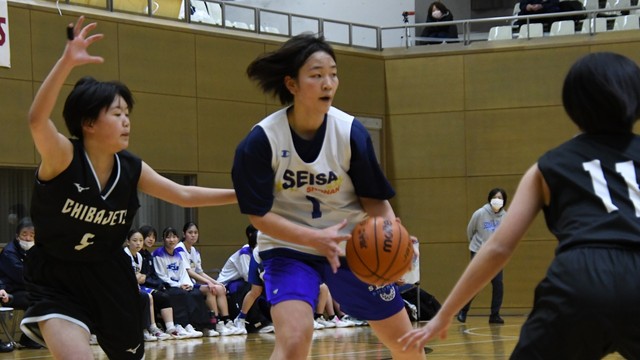 星槎湘南―千葉ジェッツ