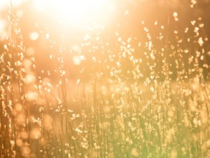 私の「恋愛下手」な欠点。でも、今は自分をまるごと否定しない。