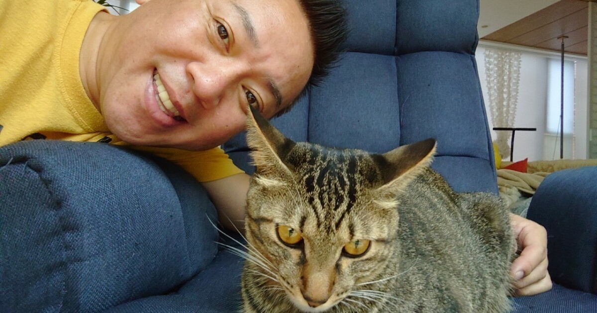 猫は人生の師匠であり、いい落語のもと　保護猫３兄弟と暮らす林家たい平さん | 犬・猫との幸せな暮らしのためのペット情報サイト「sippo」 - Vimarsana News