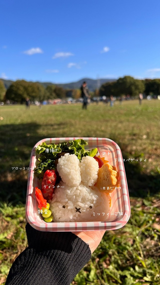 「ぬい達と公園でピクニックをするために作ったお弁当」（提供：ぴっぴ🐻🐰さん）