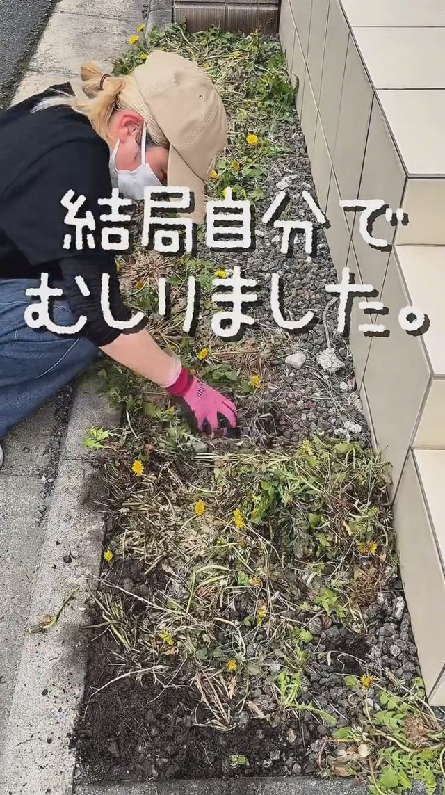汚らしく枯れてしまい、結局は自分でむしる羽目に…／こばさん提供