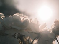 リモートワークには大賛成。だけど導入はルールを守れる人に限る