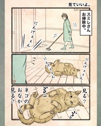 【漫画】『今日もネコ様の圧が強い』10　©Uguisu Utako