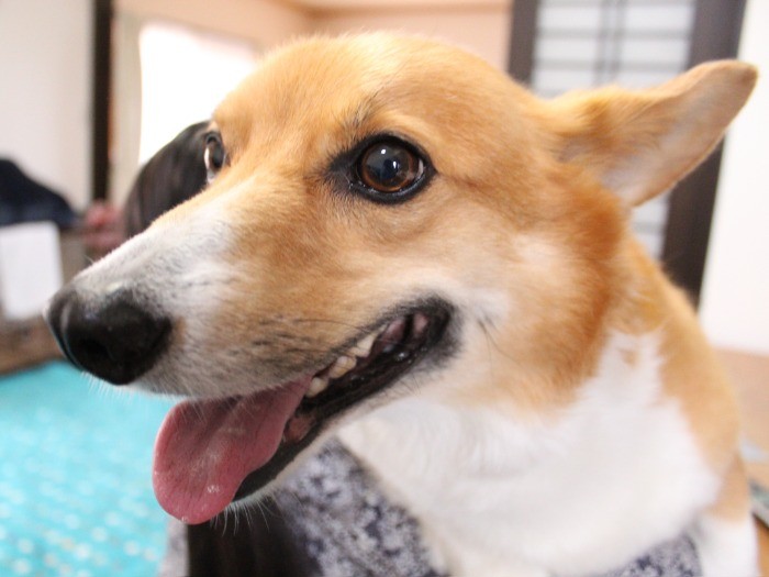 お母さんに抱っこしてもらって