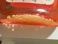 容器の底にたまっているのは…（廃な物を探す者さん提供）※画像はトリミングしています