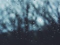 恋愛なんてって思っていたけど、雨を見ると誰かといたい気持ちに駆られてしまう