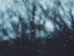 恋愛なんてって思っていたけど、雨を見ると誰かといたい気持ちに駆られてしまう