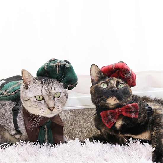 パパはおしゃれをさせるのが大好き