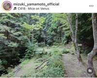 山本美月インスタグラム＠mizuki_yamamoto_officialより