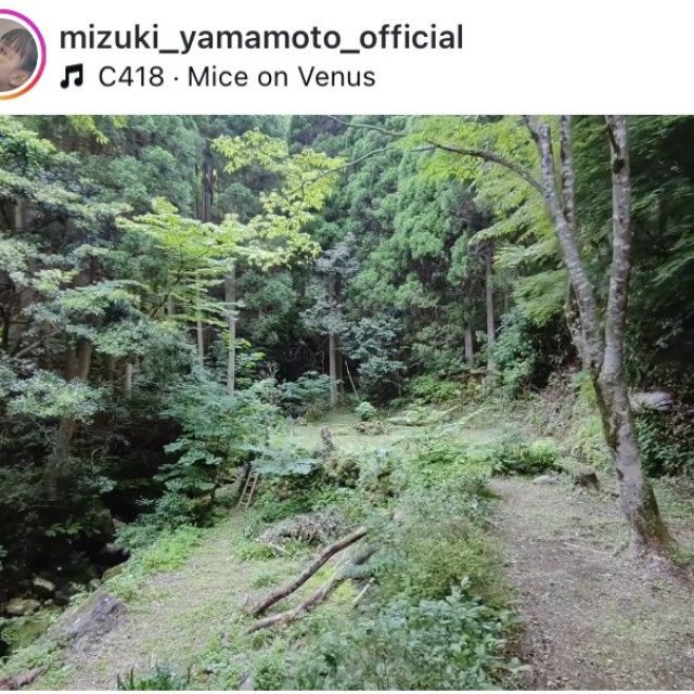 山本美月インスタグラム＠mizuki_yamamoto_officialより