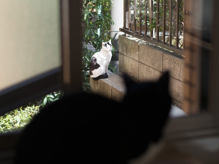 「世の中景気はどうだい？」（小林写函撮影）