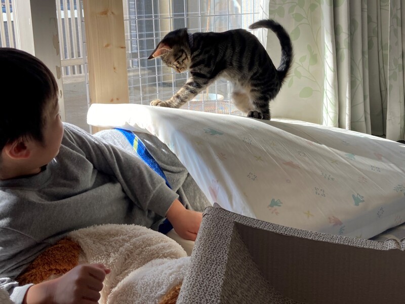 マット布団の上でゆらゆらを楽しむ（ユイトママ提供）