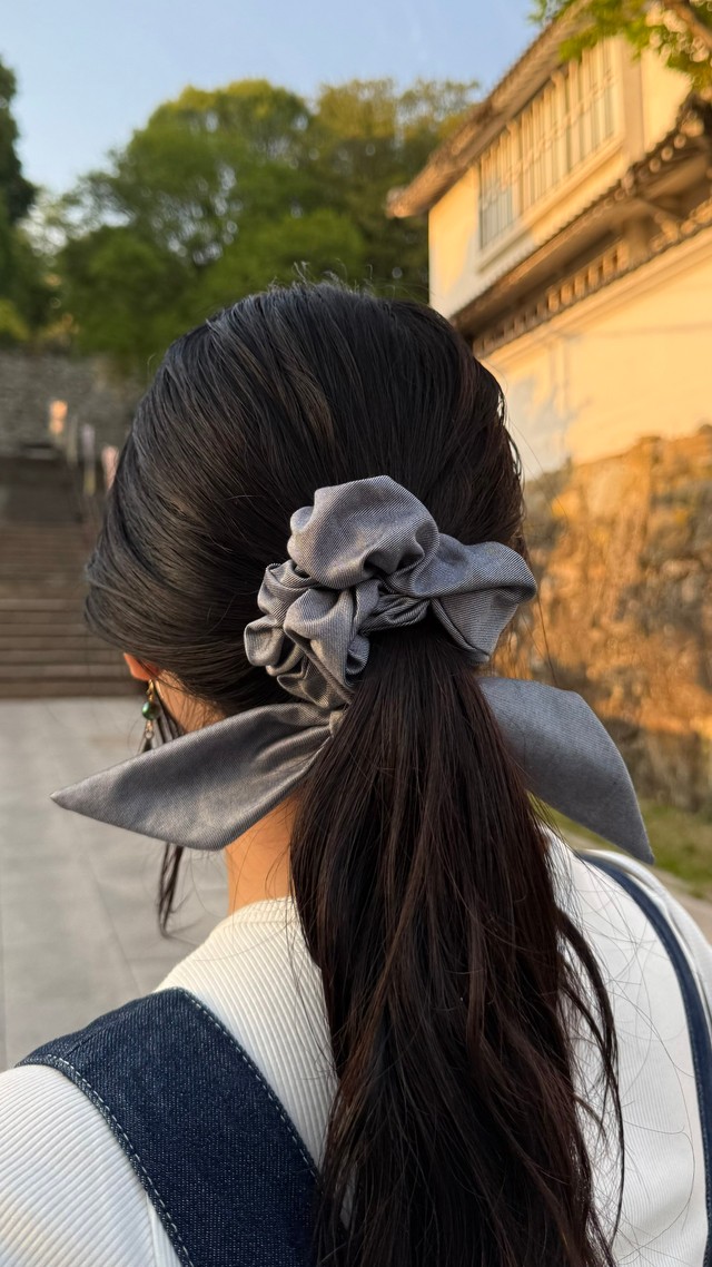 こちらが話題のシュシュ