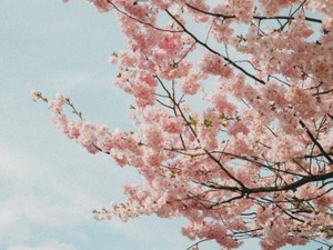 あんなに君のことを何でも知りたかったのに、今君がどこで何をしてるか何にも知りません