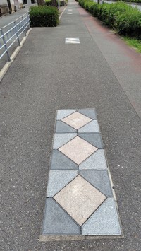 一定のパターンで並ぶ新タイプの「つたい石」