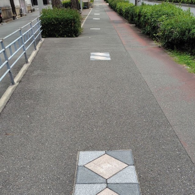 一定のパターンで並ぶ新タイプの「つたい石」