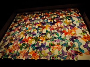 Peyo ぴよことり