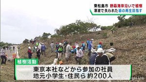 津波で失われた海岸の緑を再生へ　宮城・東松島市で植樹活動
