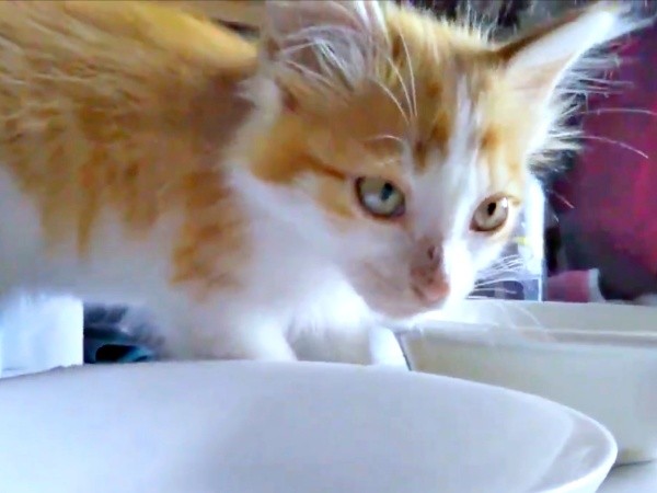 生後3カ月ころ、ごはんを食べるかなたくん（画像提供：あきや〜まさん）