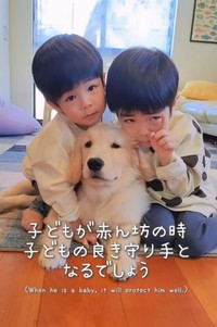 仲良し3兄弟！あんちゃん、ていちゃん、エルちゃん
